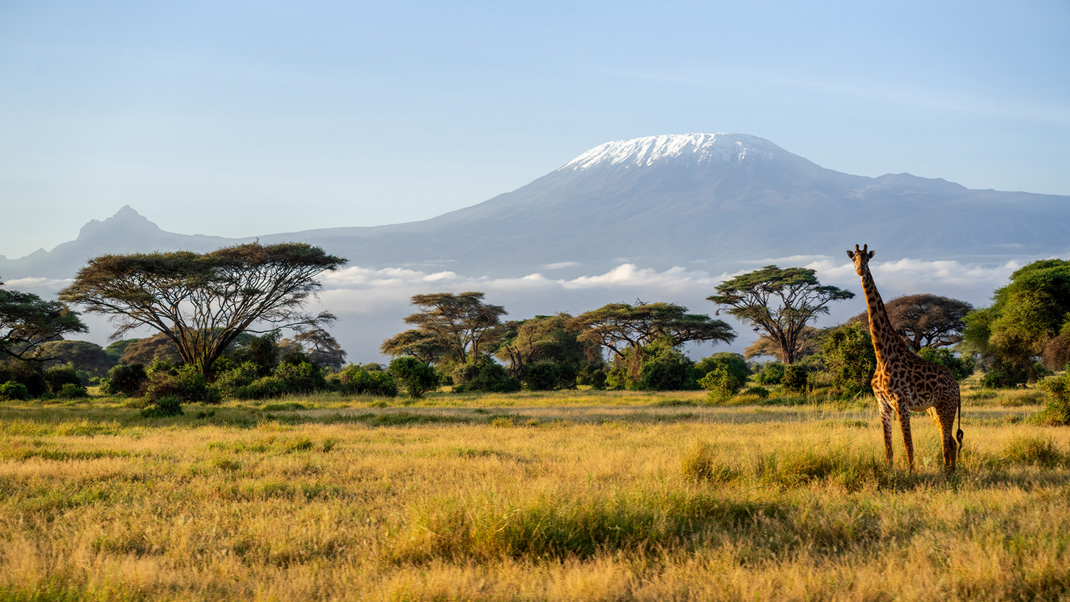 Discovering Kenya: A Family Adventure into the Heart of Nature