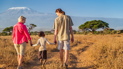 The Best Companion for Your Child's Growth-Pokokids